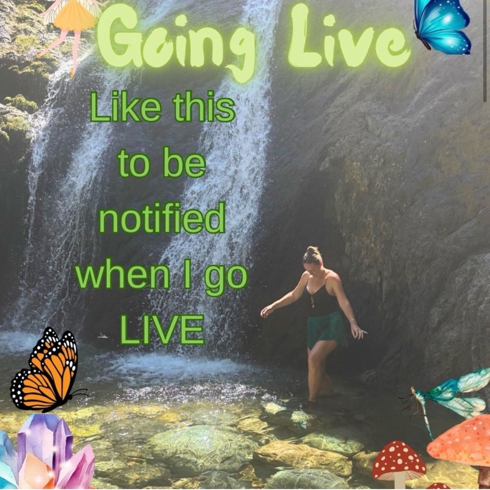 🌞 🌴 5.3 California Dreamin’ Train Show - Picture 11 of 15